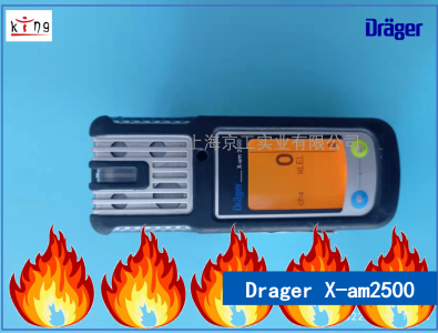 德爾格可燃?xì)鈾z測(cè)儀X-am2500