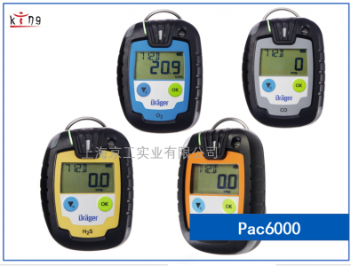 德?tīng)柛駟我粴怏w檢測(cè)儀Pac6000